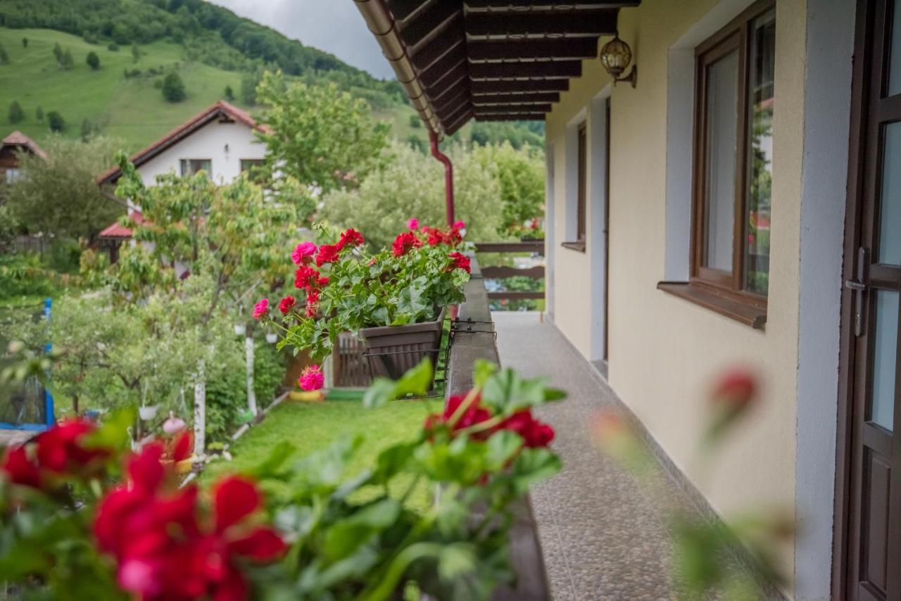 Готель Vila Chic M Моєчу-де-Жос Екстер'єр фото